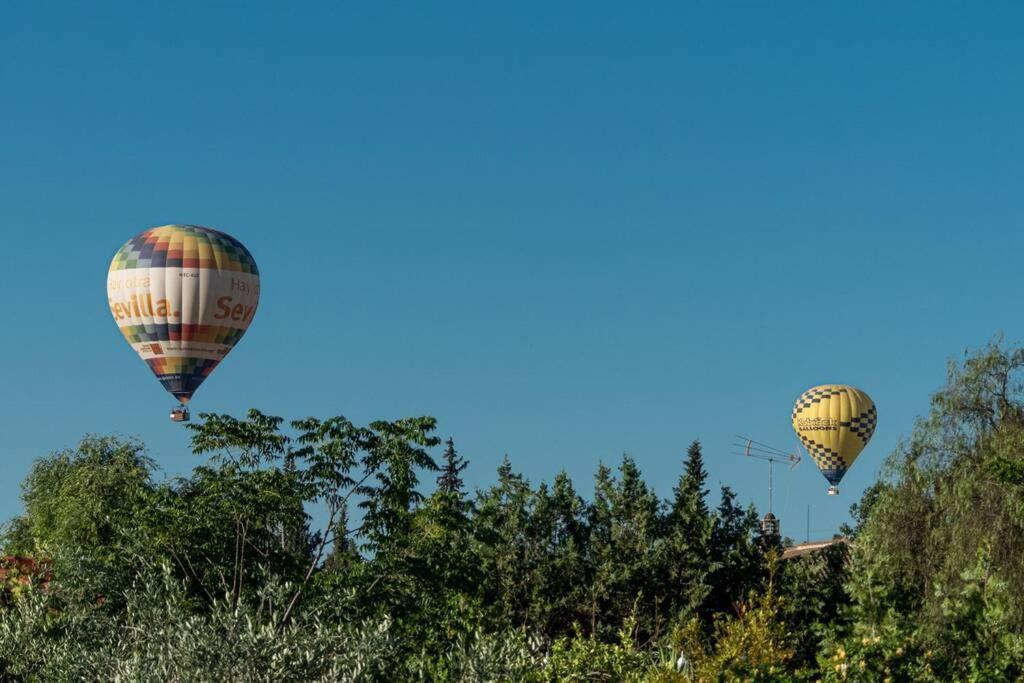 Вилла Ole Tu Andalucia Санлукар-ла-Майор Экстерьер фото